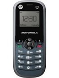 Motorola WX161 pret